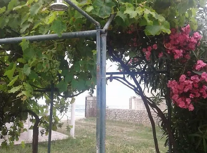 Acharavi, Next To The Villa *